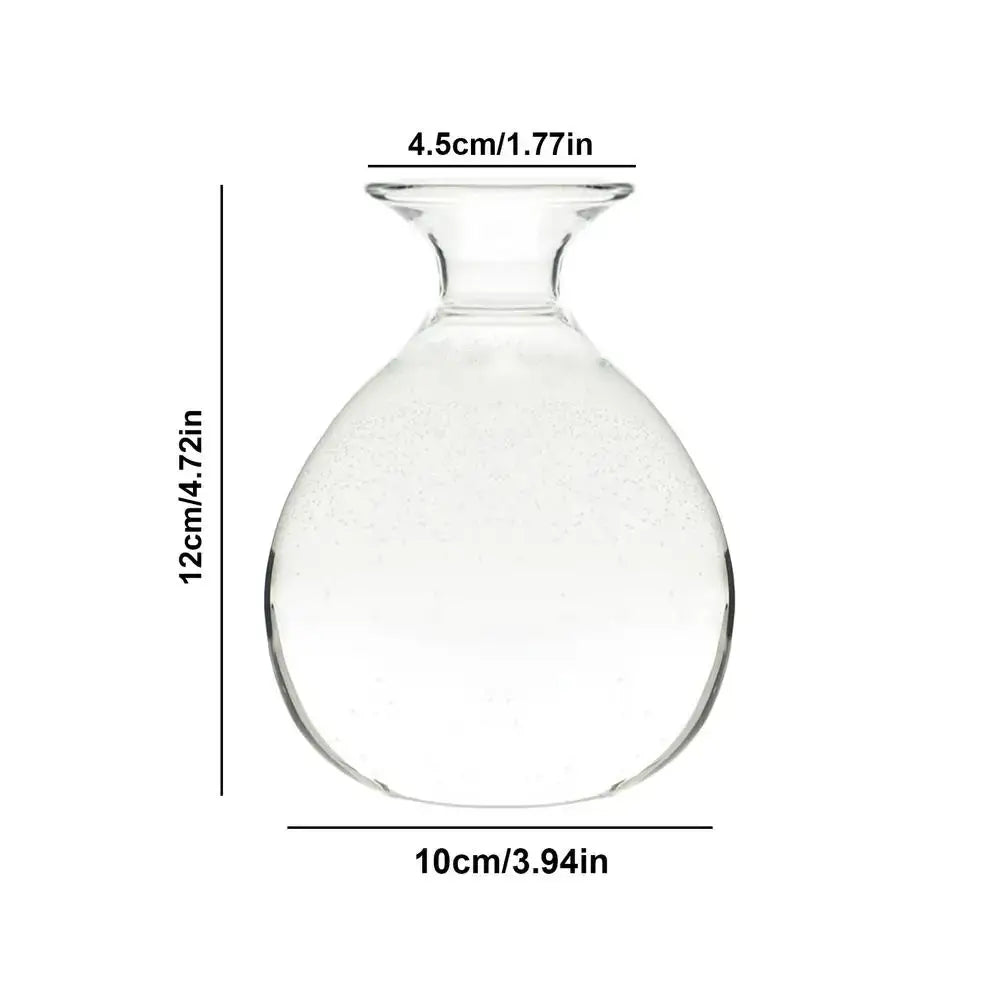 Clear glass avocado seed starter vase kitchen root grower