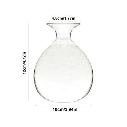 Clear glass avocado seed starter vase kitchen root grower
