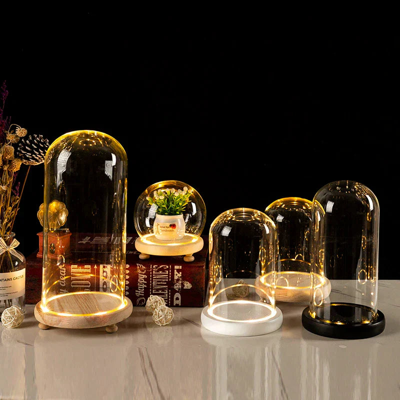 DecorBites™ Glass Bell Jar Terrarium with LED Light