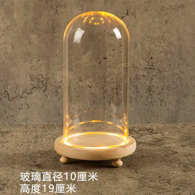 DecorBites™ Glass Bell Jar Terrarium with LED Light