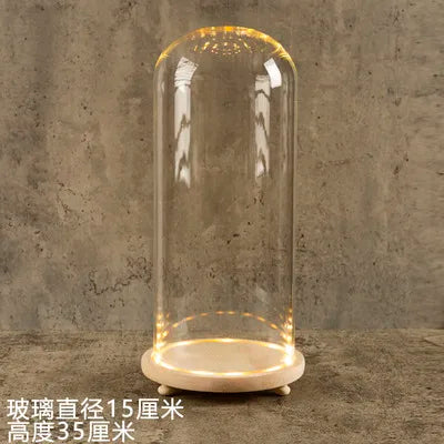 DecorBites™ Glass Bell Jar Terrarium with LED Light