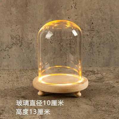 DecorBites™ Glass Bell Jar Terrarium with LED Light
