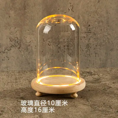DecorBites™ Glass Bell Jar Terrarium with LED Light
