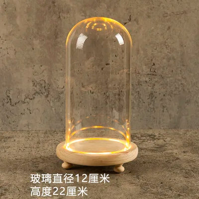 DecorBites™ Glass Bell Jar Terrarium with LED Light