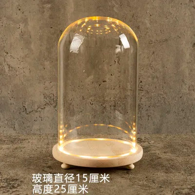 DecorBites™ Glass Bell Jar Terrarium with LED Light