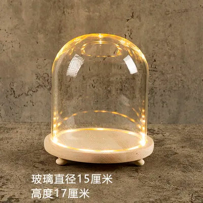 DecorBites™ Glass Bell Jar Terrarium with LED Light