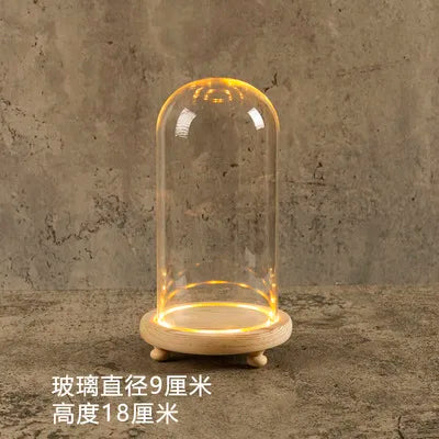 DecorBites™ Glass Bell Jar Terrarium with LED Light