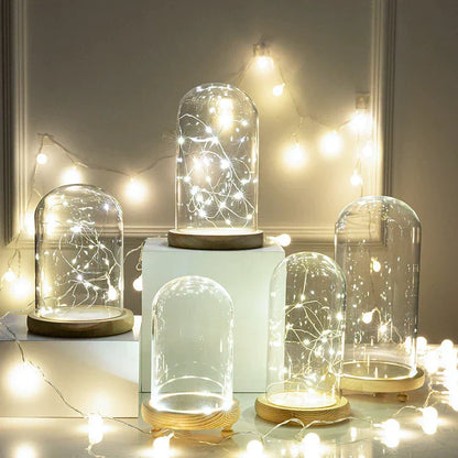 DecorBites™ Glass Bell Jar Terrarium with LED Light