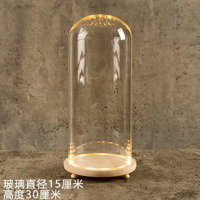 DecorBites™ Glass Bell Jar Terrarium with LED Light