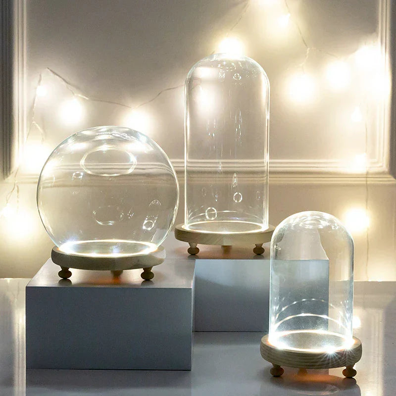DecorBites™ Glass Bell Jar Terrarium with LED Light
