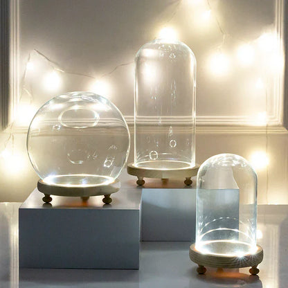 DecorBites™ Glass Bell Jar Terrarium with LED Light