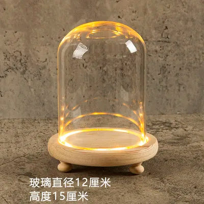 DecorBites™ Glass Bell Jar Terrarium with LED Light
