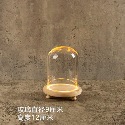 DecorBites™ Glass Bell Jar Terrarium with LED Light