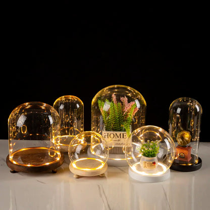 DecorBites™ Glass Bell Jar Terrarium with LED Light