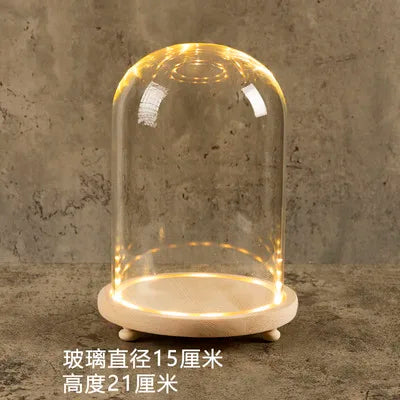 DecorBites™ Glass Bell Jar Terrarium with LED Light