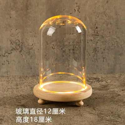 DecorBites™ Glass Bell Jar Terrarium with LED Light