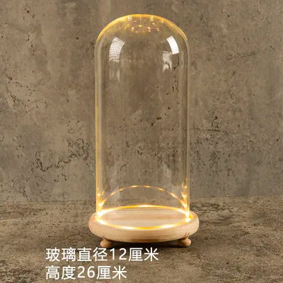 DecorBites™ Glass Bell Jar Terrarium with LED Light