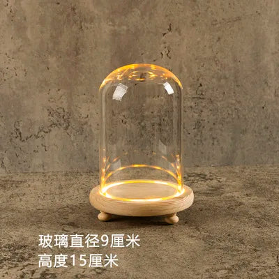 DecorBites™ Glass Bell Jar Terrarium with LED Light