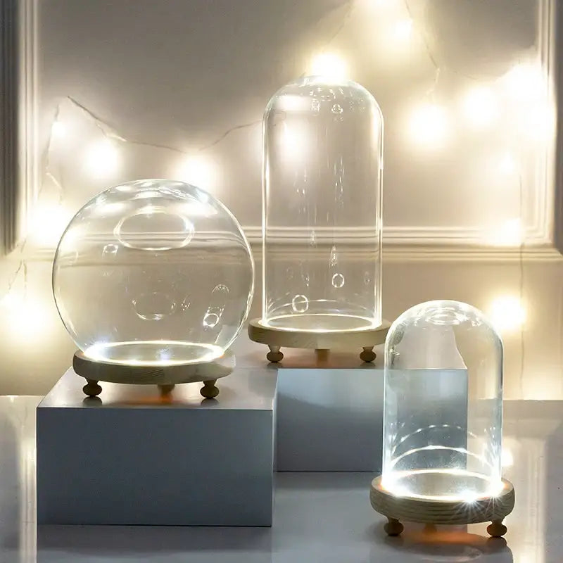 Glass bell jar terrarium with led fairy lights bedroom decor