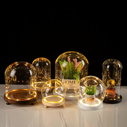 Glass bell jar terrarium with led fairy lights bedroom decor