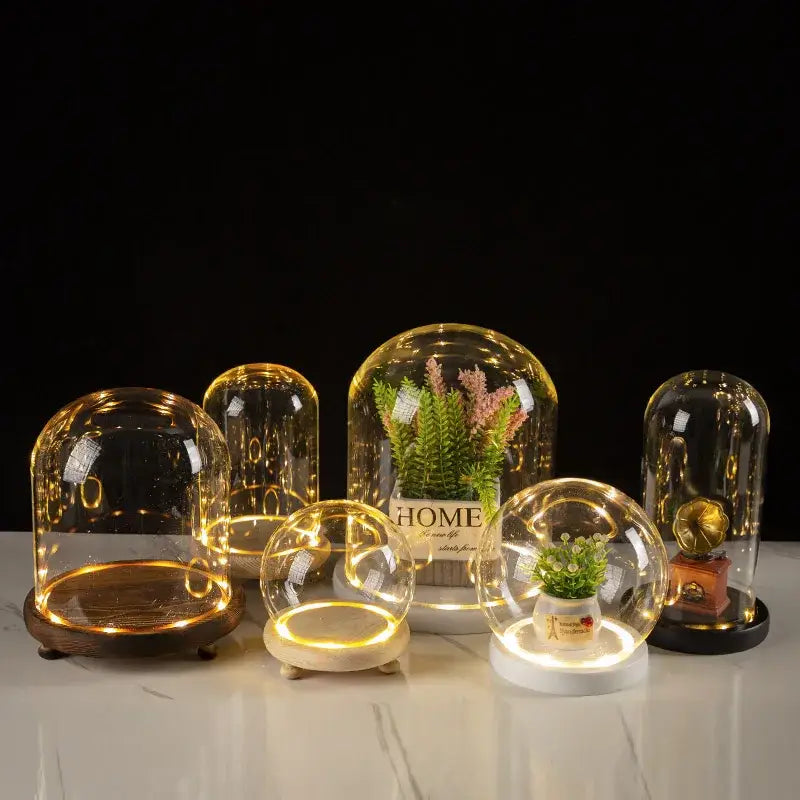 Glass bell jar terrarium with led fairy lights bedroom decor