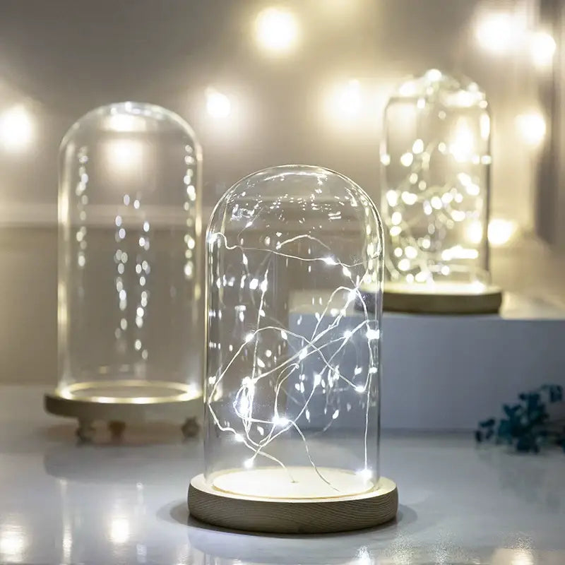 Glass bell jar terrarium with led fairy lights bedroom decor