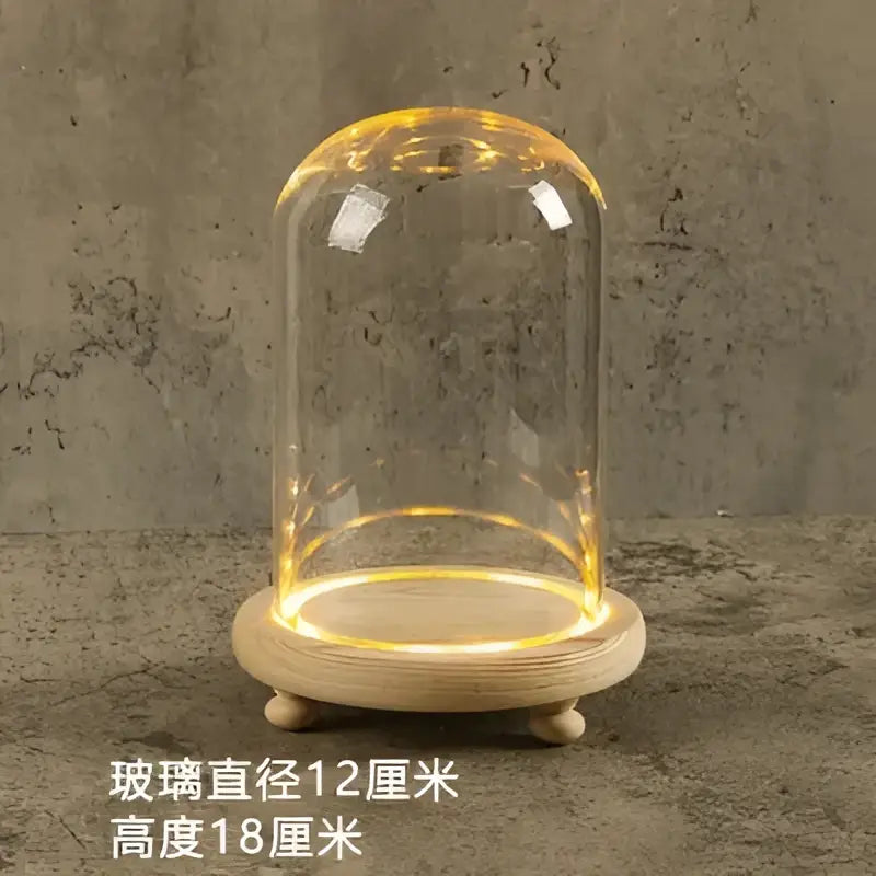 Glass bell jar terrarium with led fairy lights bedroom decor