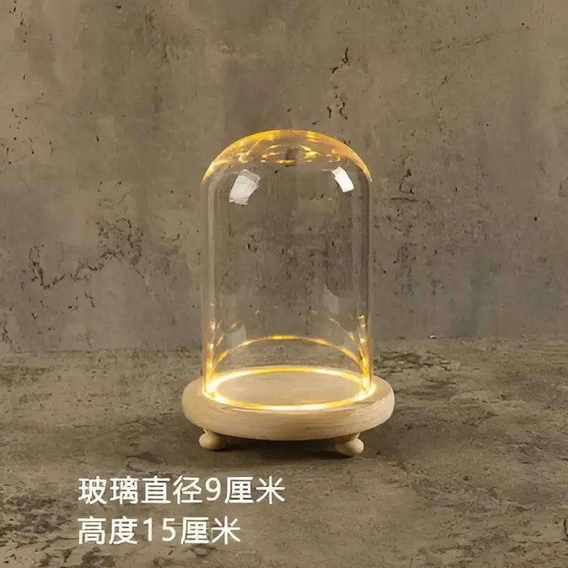 Glass bell jar terrarium with led fairy lights bedroom decor