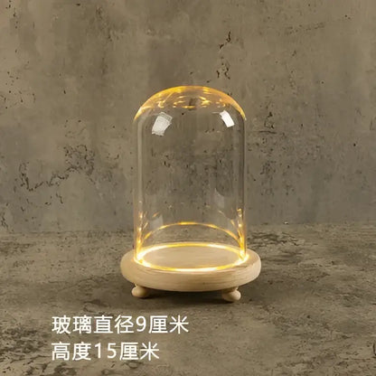 Glass bell jar terrarium with led fairy lights bedroom decor