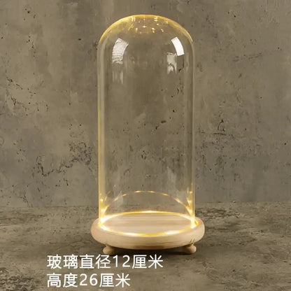 Glass bell jar terrarium with led fairy lights bedroom decor