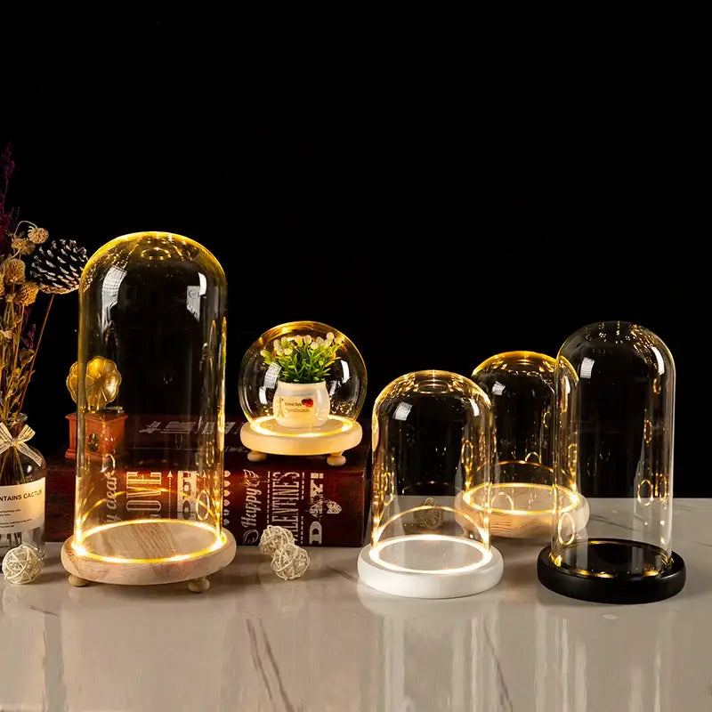 Glass bell jar terrarium with led fairy lights bedroom decor