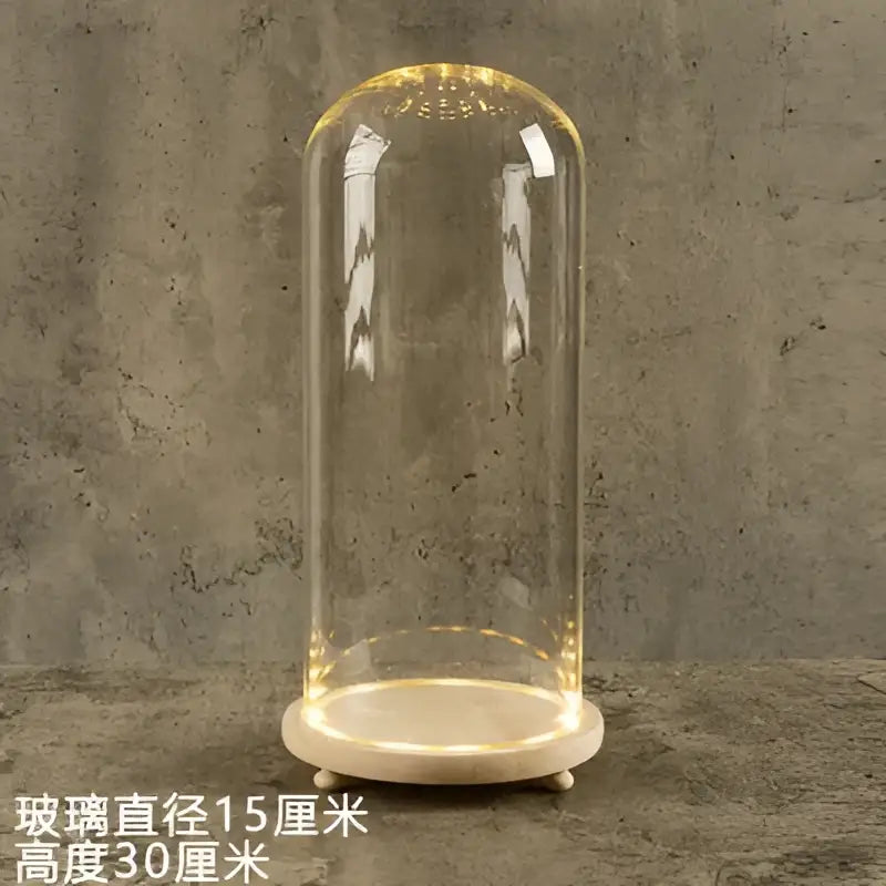 Glass bell jar terrarium with led fairy lights bedroom decor