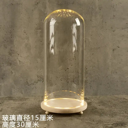 Glass bell jar terrarium with led fairy lights bedroom decor