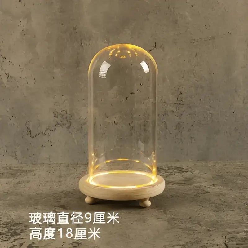 Glass bell jar terrarium with led fairy lights bedroom decor