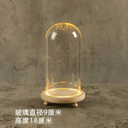 Glass bell jar terrarium with led fairy lights bedroom decor