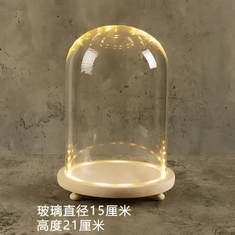 Glass bell jar terrarium with led fairy lights bedroom decor