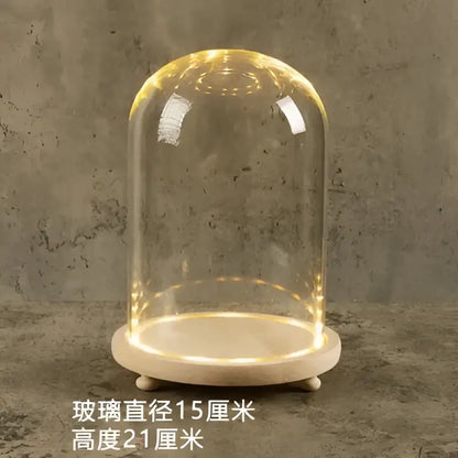 Glass bell jar terrarium with led fairy lights bedroom decor
