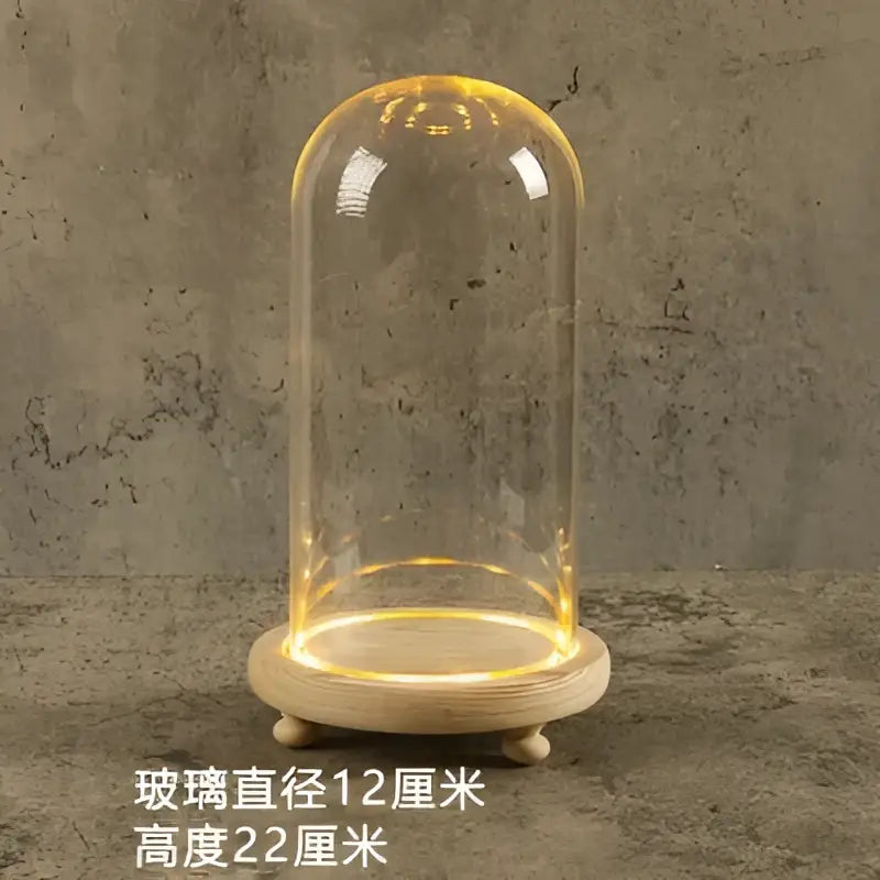 Glass bell jar terrarium with led fairy lights bedroom decor