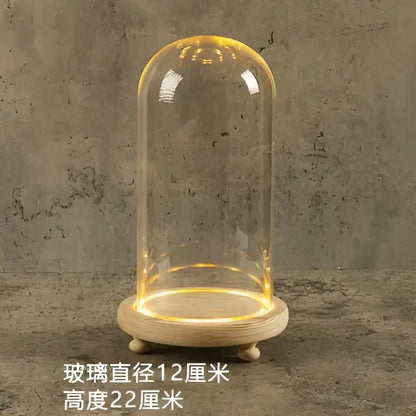 Glass bell jar terrarium with led fairy lights bedroom decor
