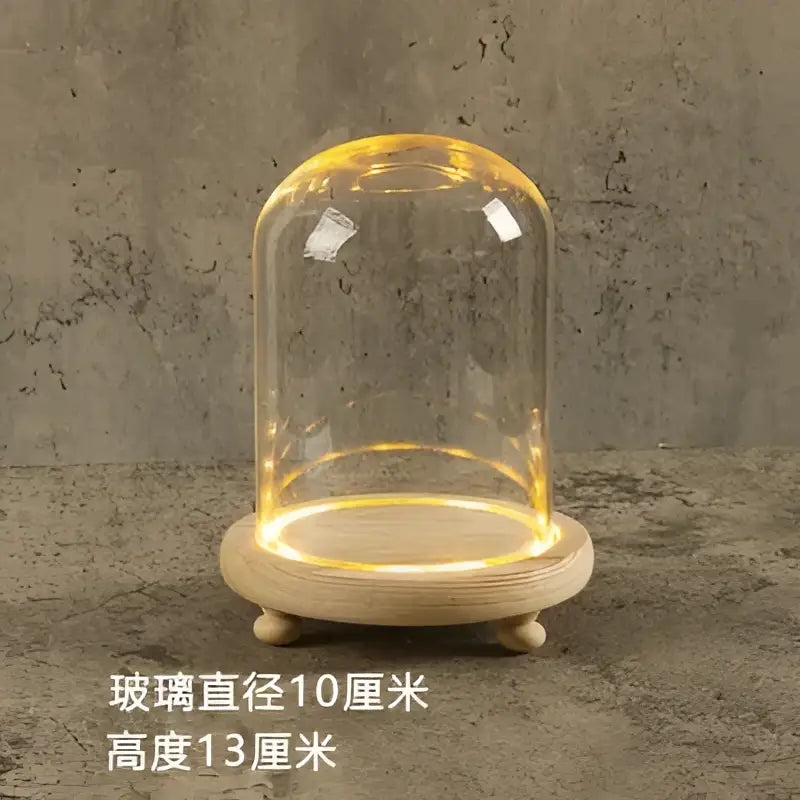 Glass bell jar terrarium with led fairy lights bedroom decor