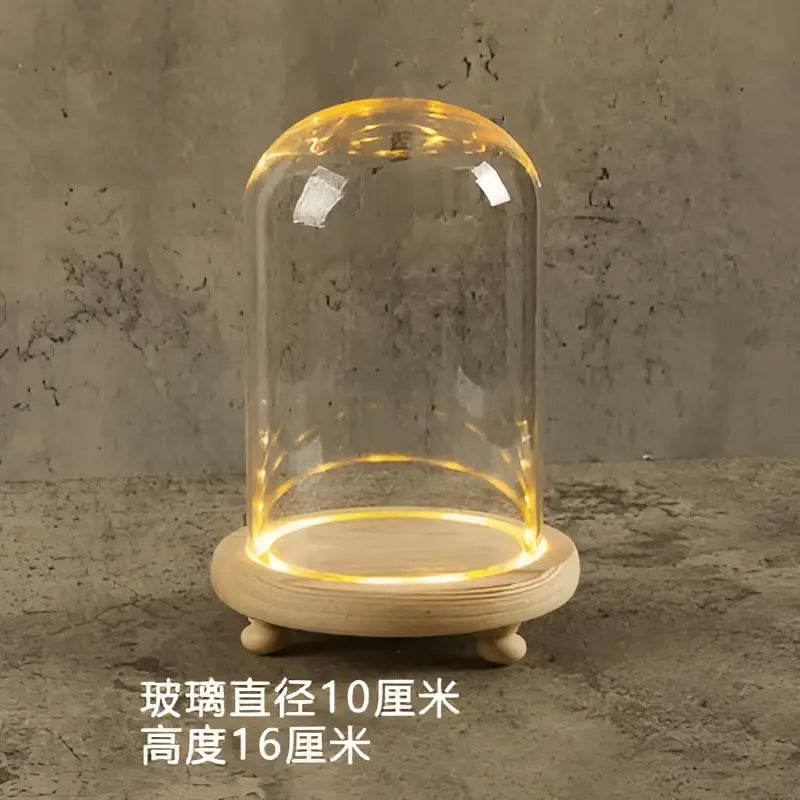 Glass bell jar terrarium with led fairy lights bedroom decor
