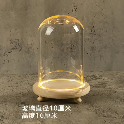 Glass bell jar terrarium with led fairy lights bedroom decor
