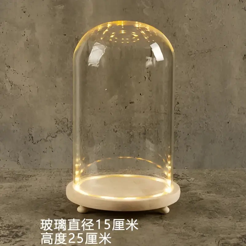 Glass bell jar terrarium with led fairy lights bedroom decor