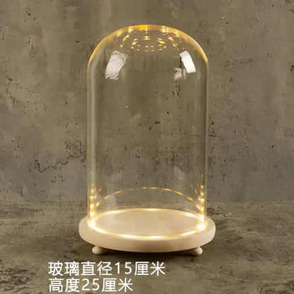 Glass bell jar terrarium with led fairy lights bedroom decor