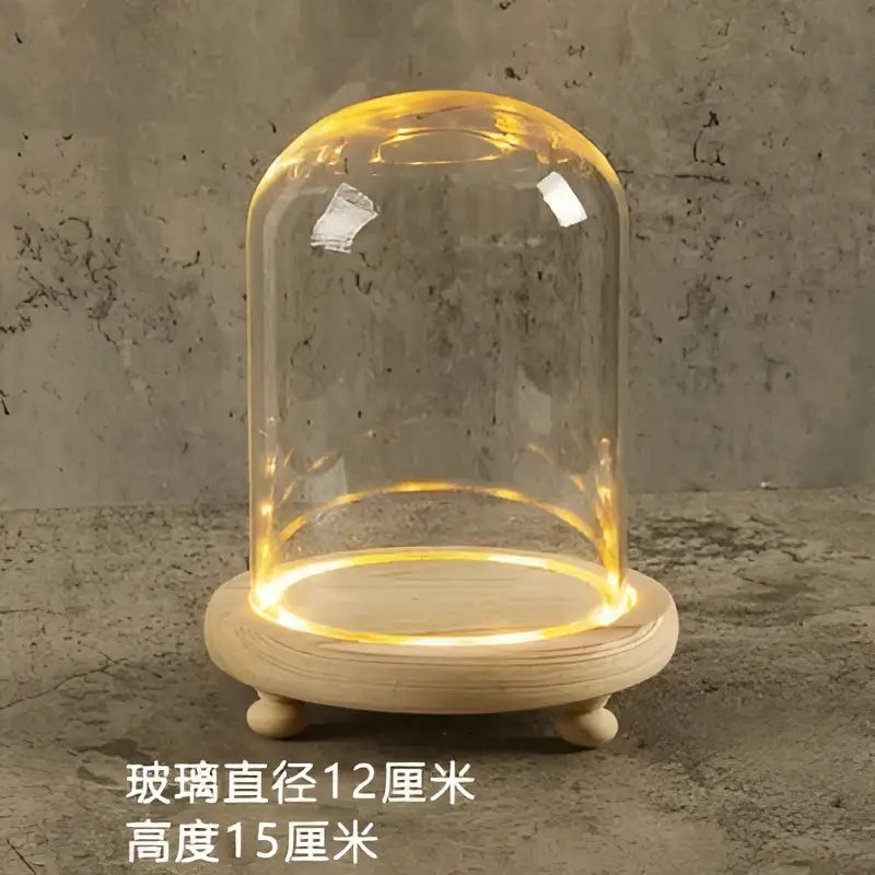 Glass bell jar terrarium with led fairy lights bedroom decor