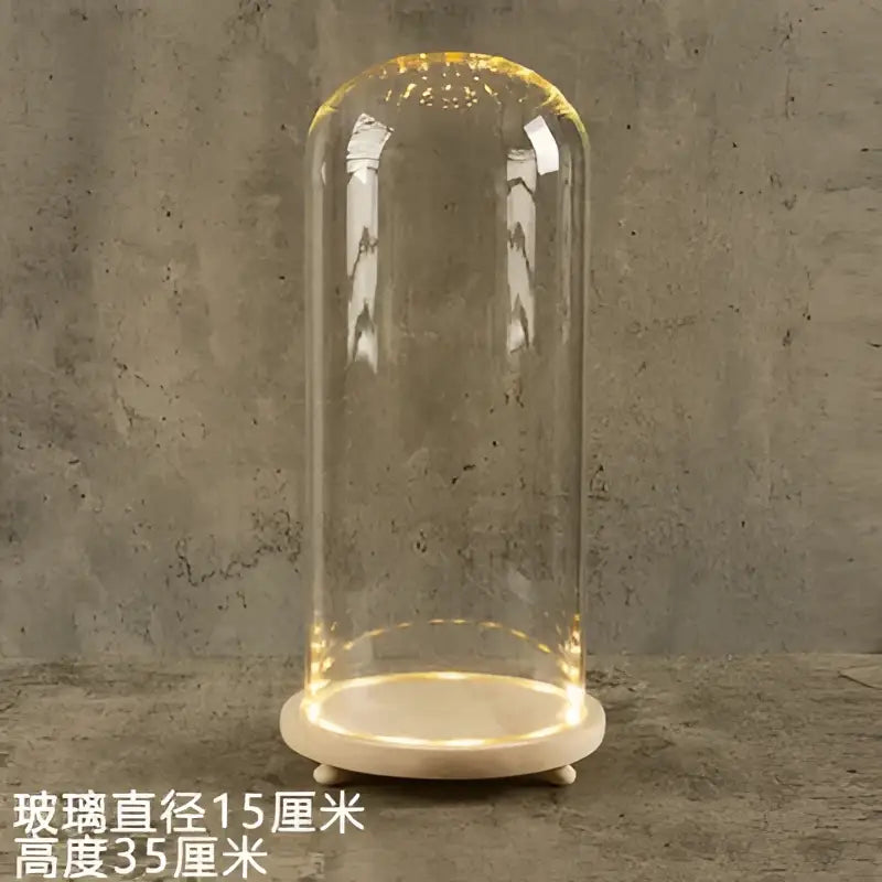Glass bell jar terrarium with led fairy lights bedroom decor