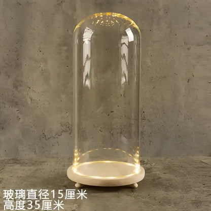 Glass bell jar terrarium with led fairy lights bedroom decor