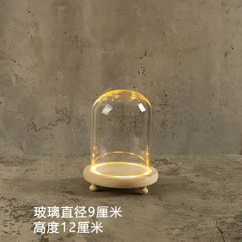 Glass bell jar terrarium with led fairy lights bedroom decor