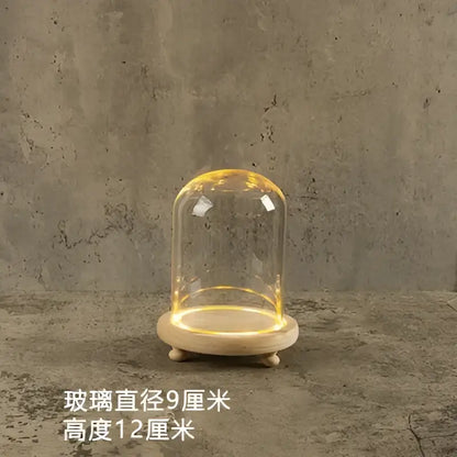 Glass bell jar terrarium with led fairy lights bedroom decor