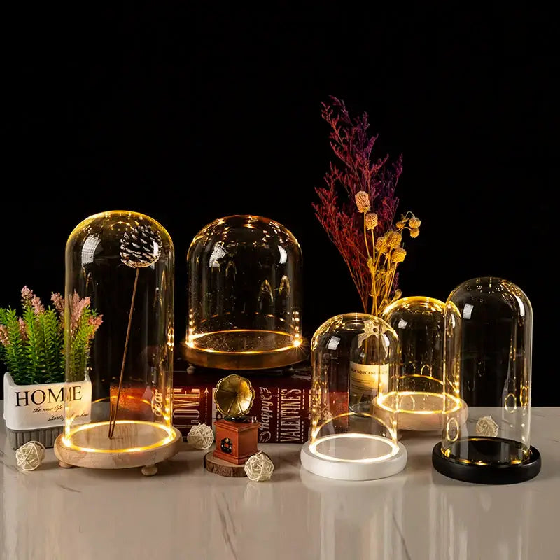Glass bell jar terrarium with led fairy lights bedroom decor